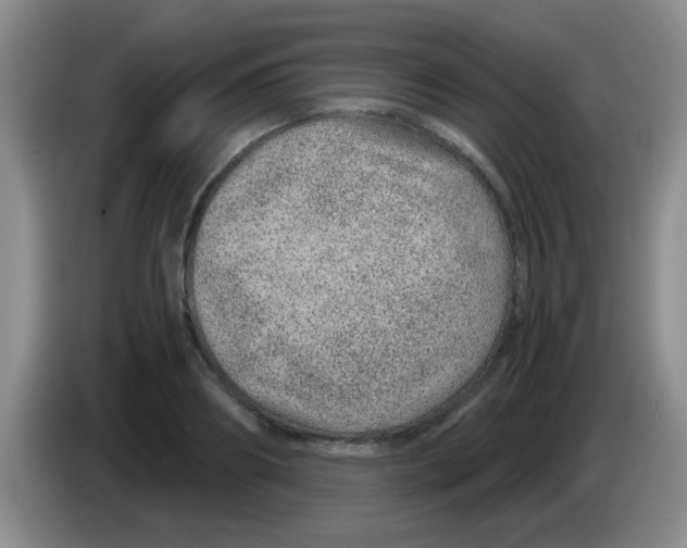X0000083580890200703091656