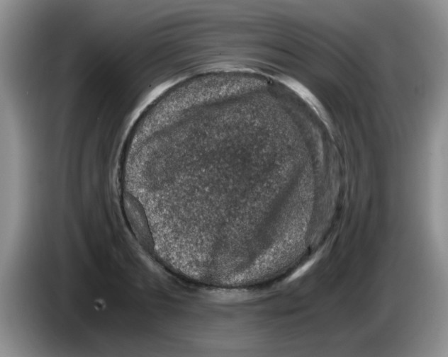 X0000083580893200703091656