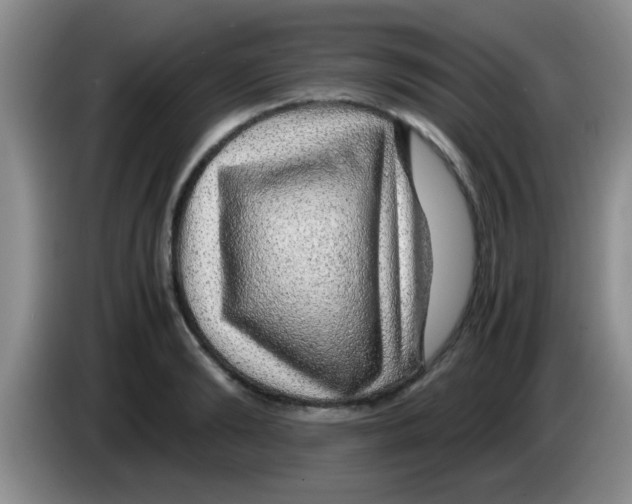 X0000083580894200703091656