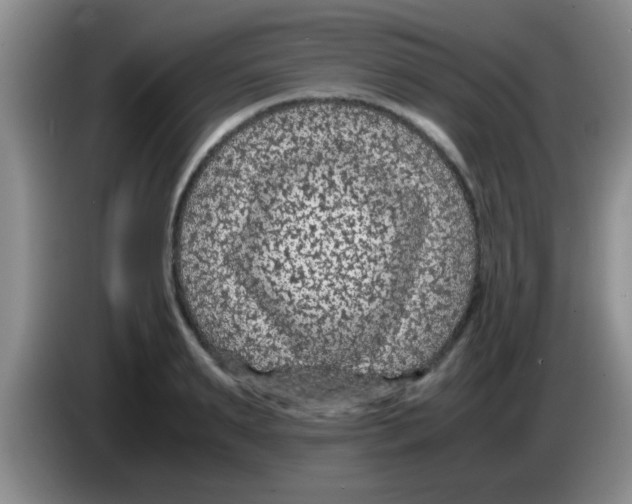 X0000083580895200703091656