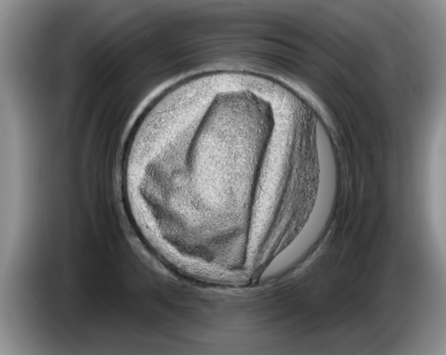X0000083580896200703091656