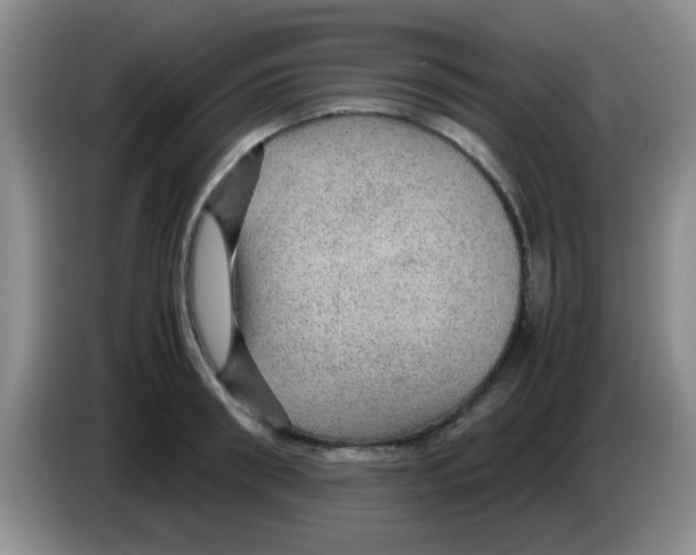 X0000083580898200703091656