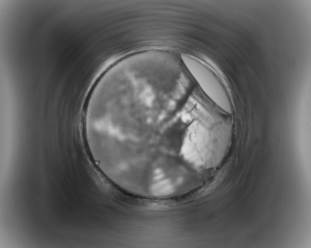 X0000083580899200703091656