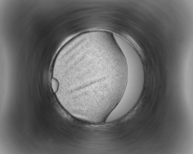 X0000083580900200703091656