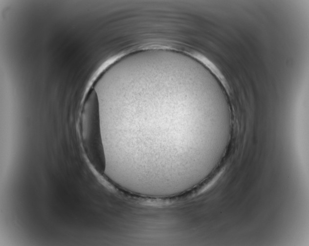 X0000083580901200703091656