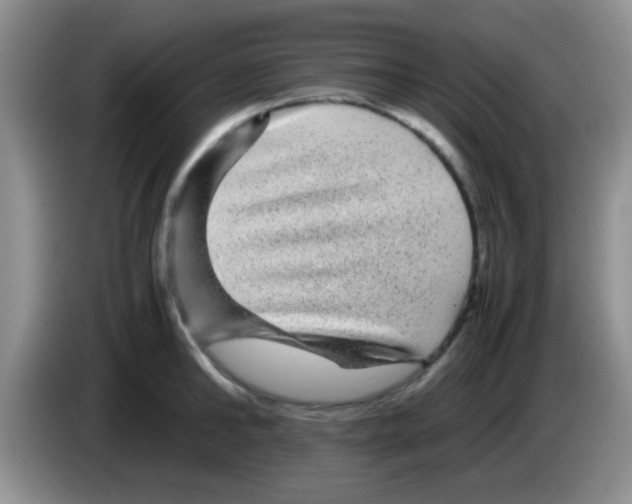 X0000083580902200703091656