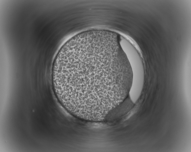 X0000083580903200703091656