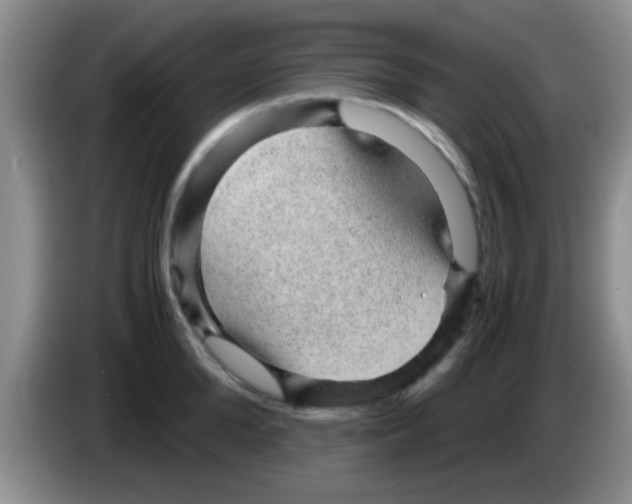 X0000083580904200703091656