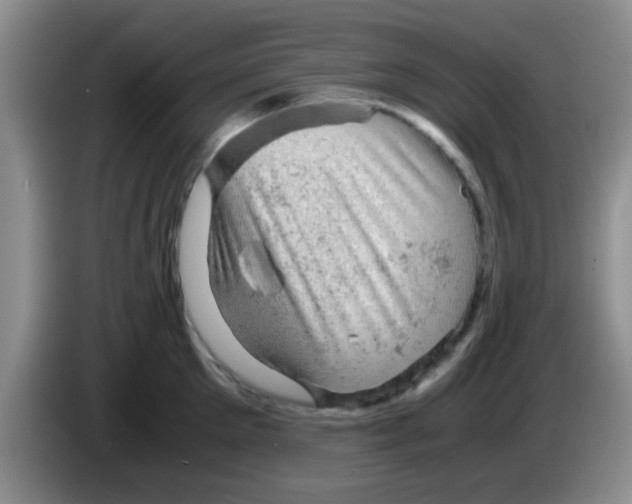 X0000083580905200703091656