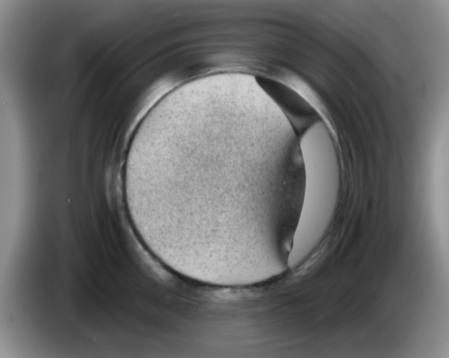 X0000083580906200703091656