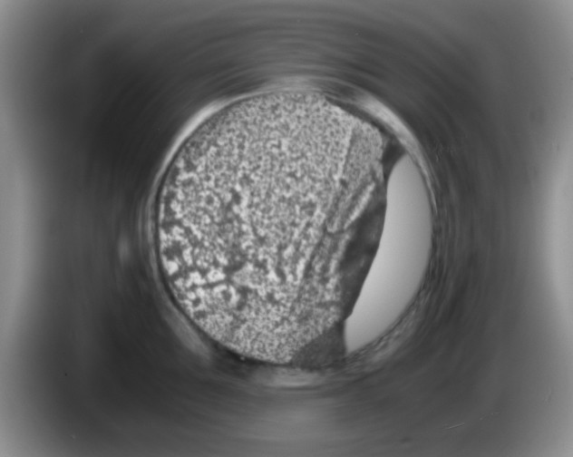X0000083580907200703091656