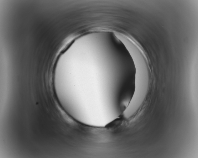 X0000083580909200703091656
