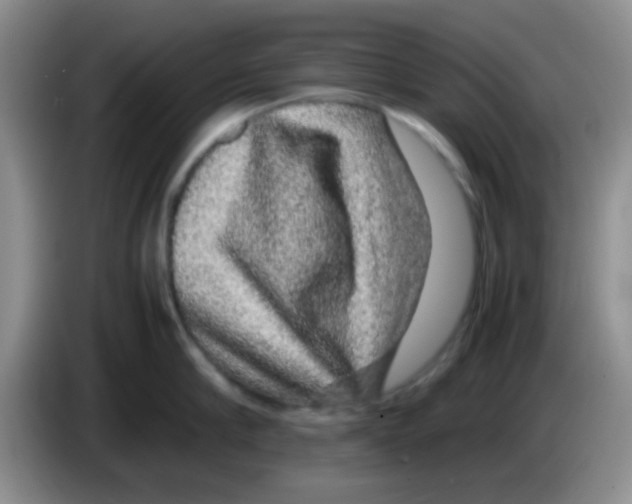 X0000083580910200703091656