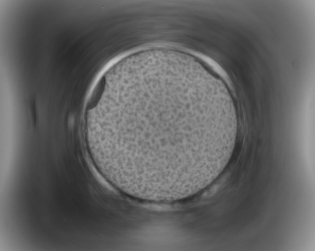 X0000083580911200703091656