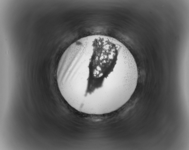 X0000083580913200703091655