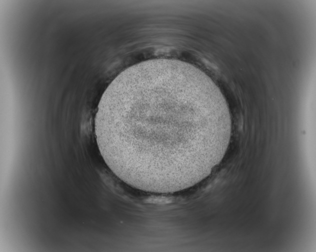 X0000083580914200703091655