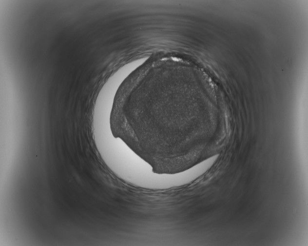 X0000083580916200703091655