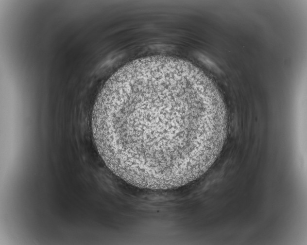 X0000083580917200703091655