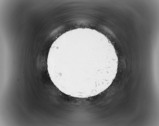 X0000083580918200703091655