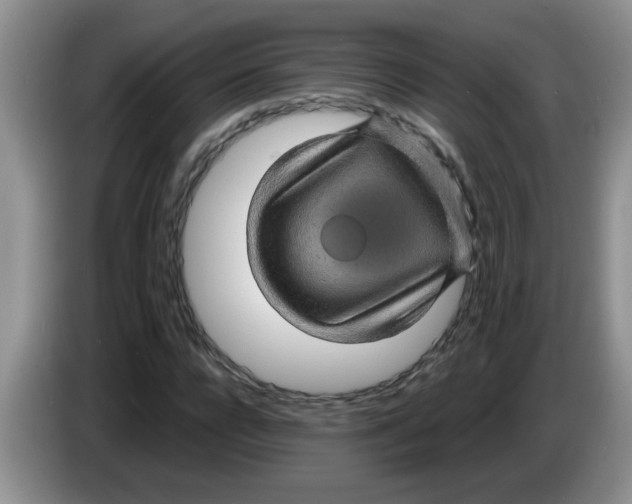 X0000083580920200703091655