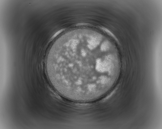 X0000083580921200703091655