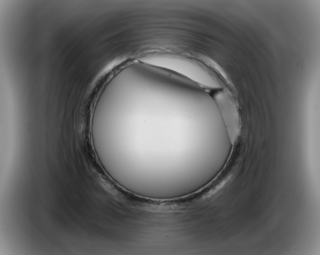 X0000083580922200703091655