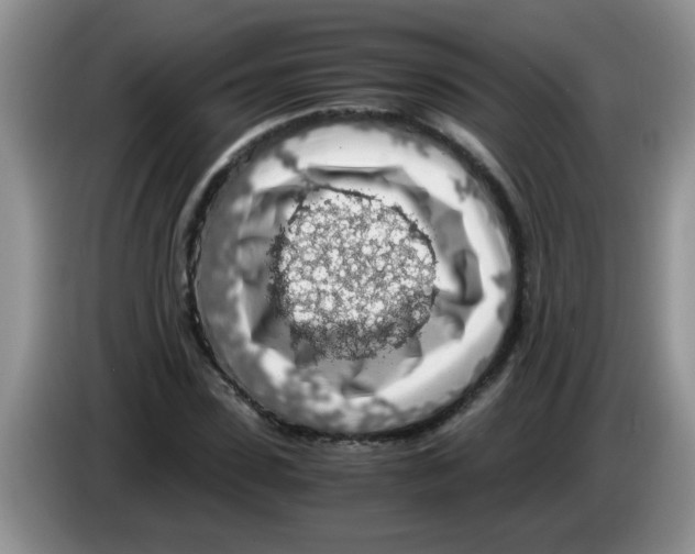 X0000083580923200703091655