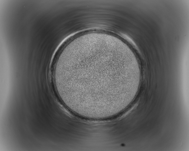 X0000083580924200703091655