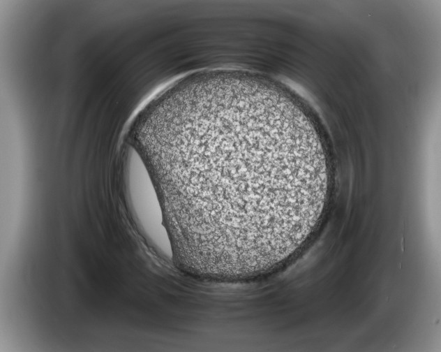 X0000083580925200703091655