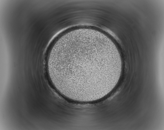 X0000083580926200703091655