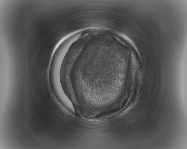 X0000083580928200703091655