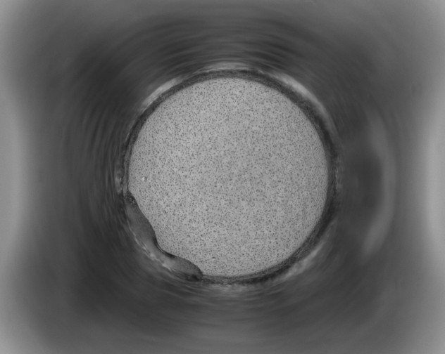 X0000083580929200703091655