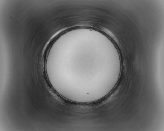 X0000083580931200703091655