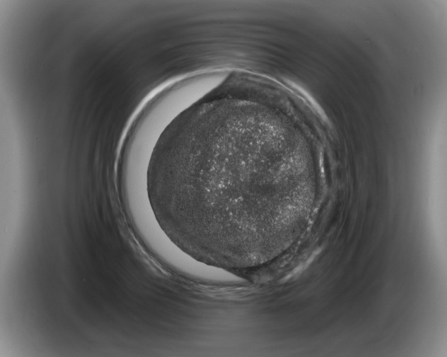 X0000083580932200703091655