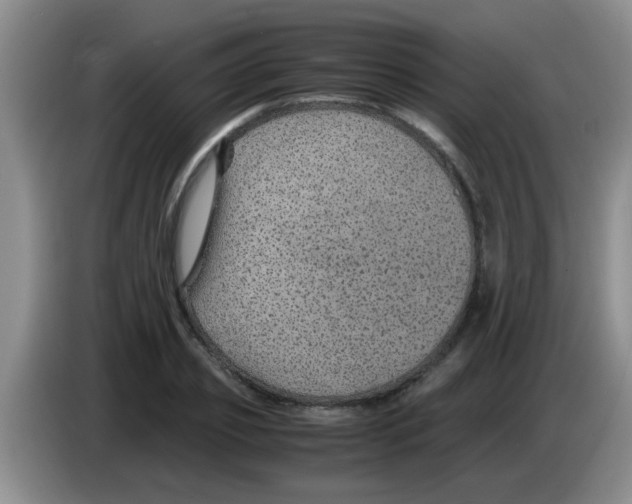 X0000083580933200703091655
