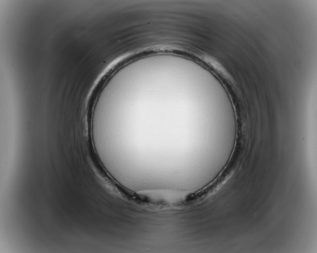 X0000083580934200703091655