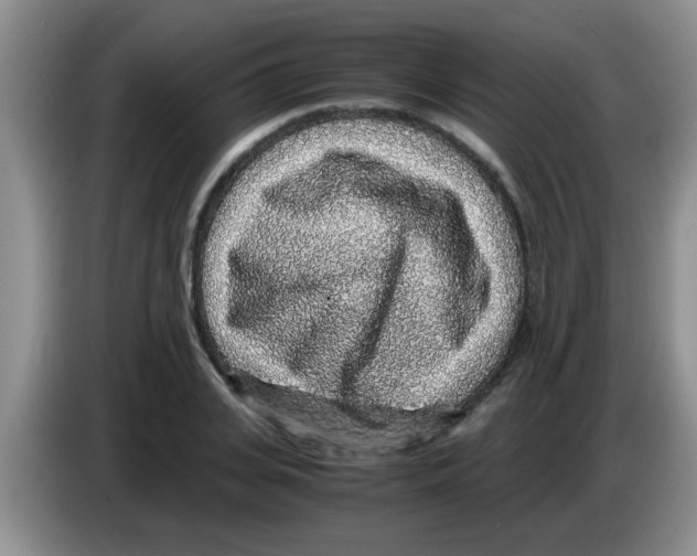 X0000083580935200703091655