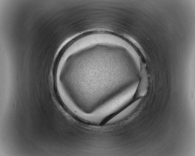 X0000083580936200703091655