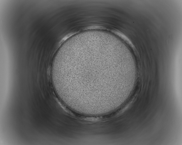 X0000083580937200703091655