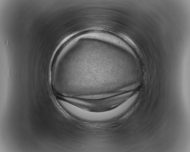 X0000083580940200703091655