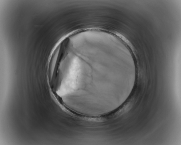 X0000083580941200703091655