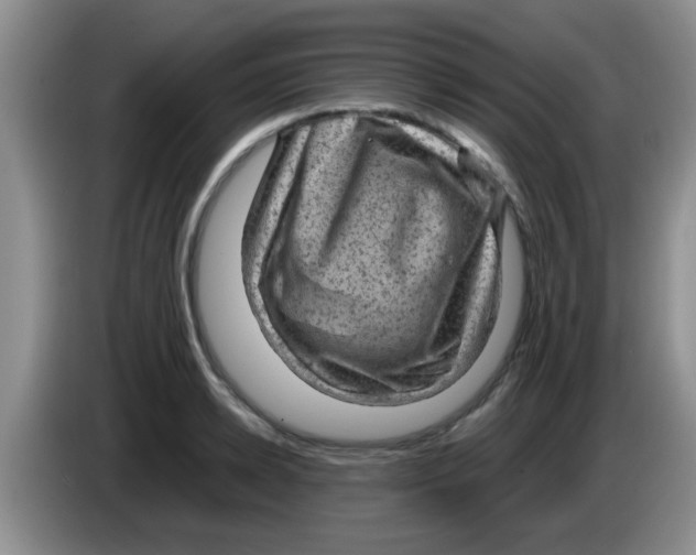 X0000083580942200703091655