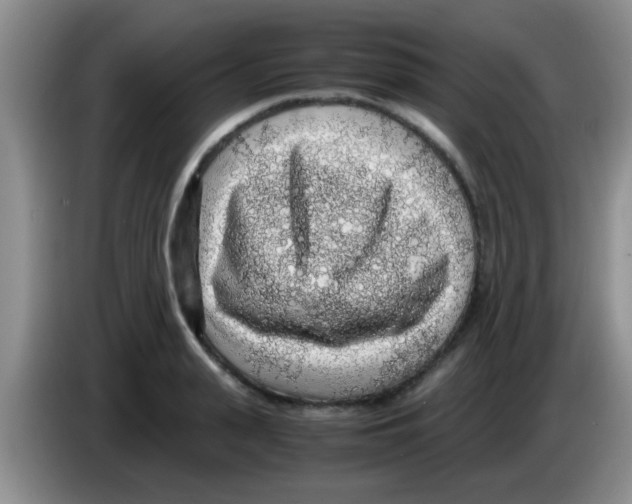 X0000083580943200703091655