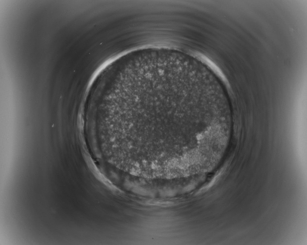 X0000083580944200703091655