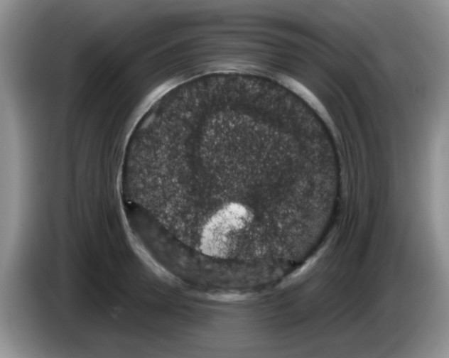 X0000083580946200703091655