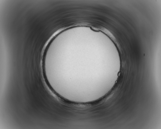 X0000083580947200703091655