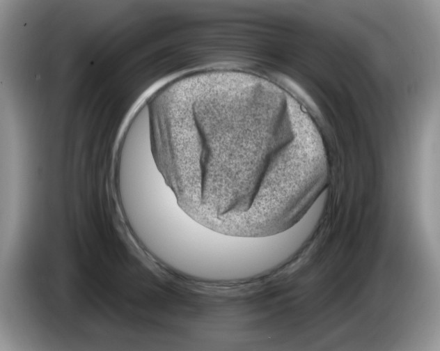 X0000083580948200703091655