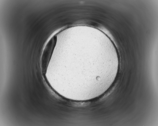 X0000083580949200703091655