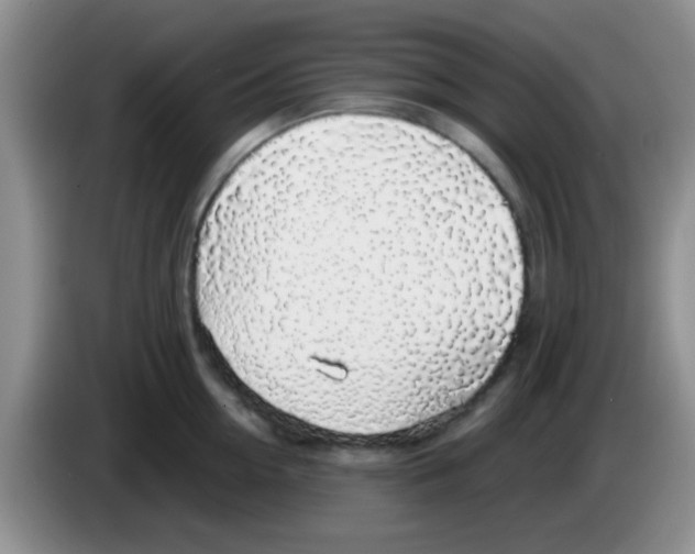 X0000083580954200703091656