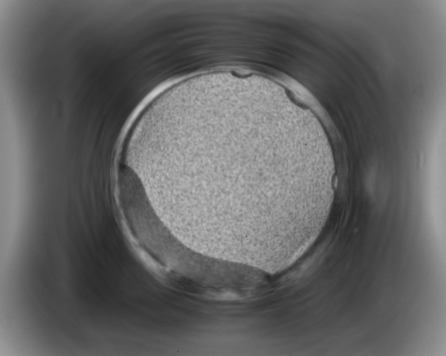 X0000083580955200703091656